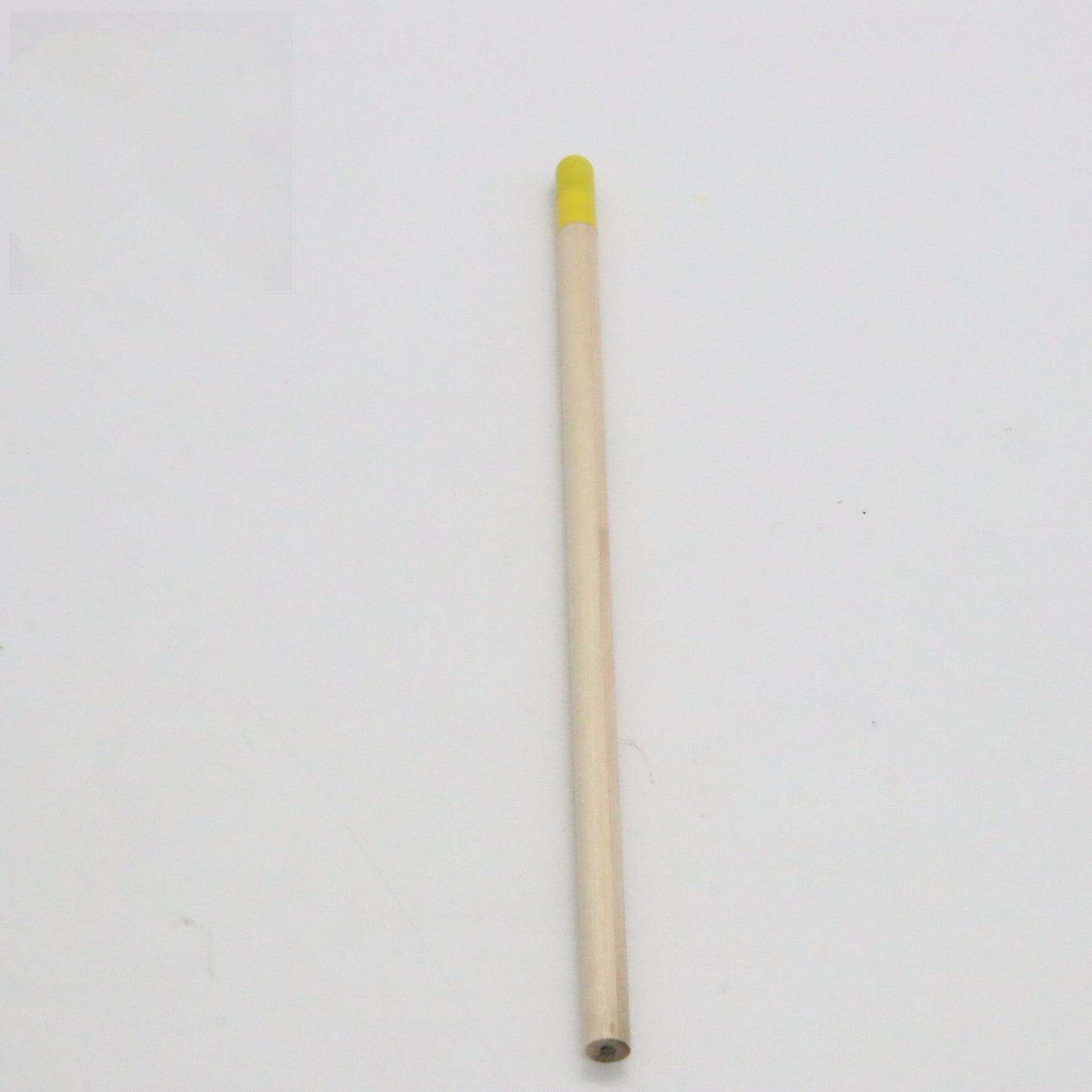 Lápiz de semillas Lápiz vegetal germinable Recambio HB Cápsulas degradables