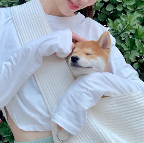 Sac en toile pour animaux de compagnie à bandoulière portable pour sortir