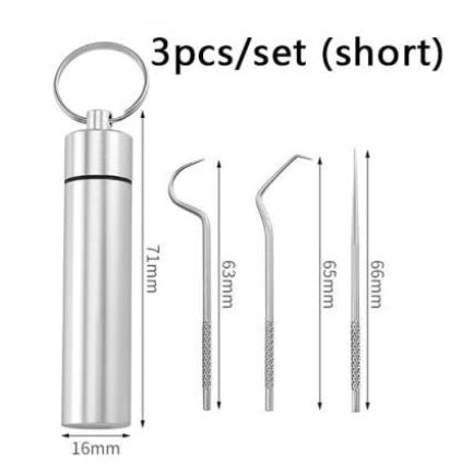 Cure-dents en acier inoxydable 304, outil de nettoyage Portable domestique, ensemble de 7 pièces