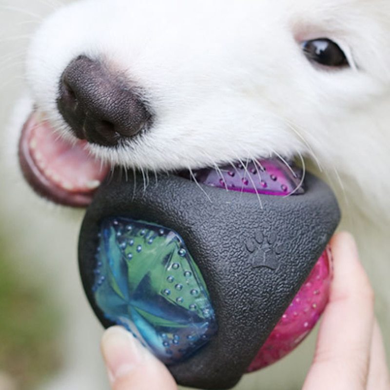 Balle jouet pour chien