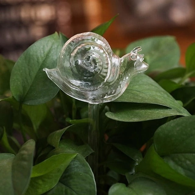 Arrosoir automatique en verre pour oiseaux, dispositif d'arrosage automatique pour fleurs et plantes, dispositif d'arrosage en verre transparent pour plantes d'intérieur