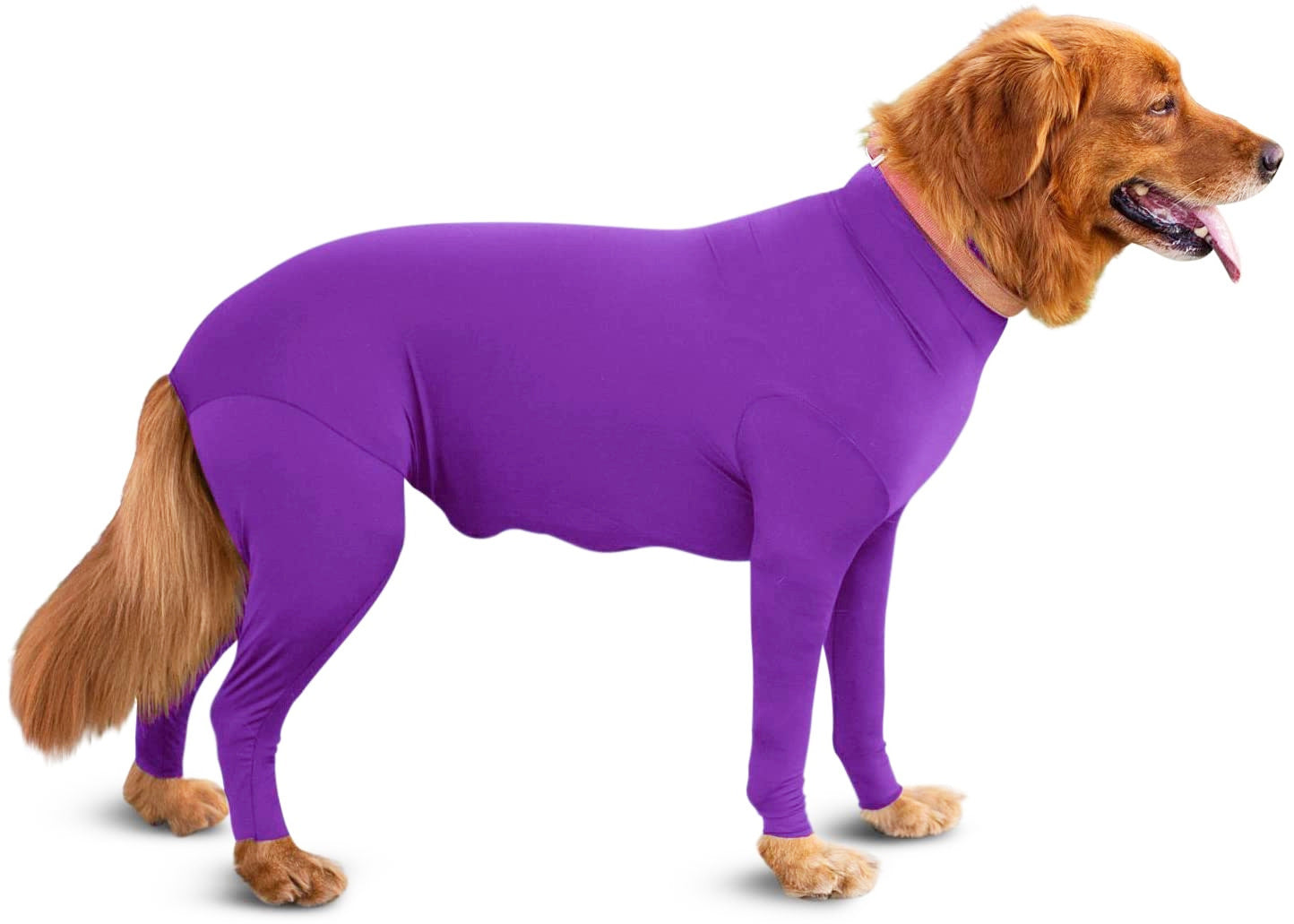 Zhongda Perro Fabricante Todo Incluido Cuatro Patas Otoño E Invierno Nueva Ropa Para Perros Ropa De Cuatro Patas Ropa Para Mascotas Gato Elástico