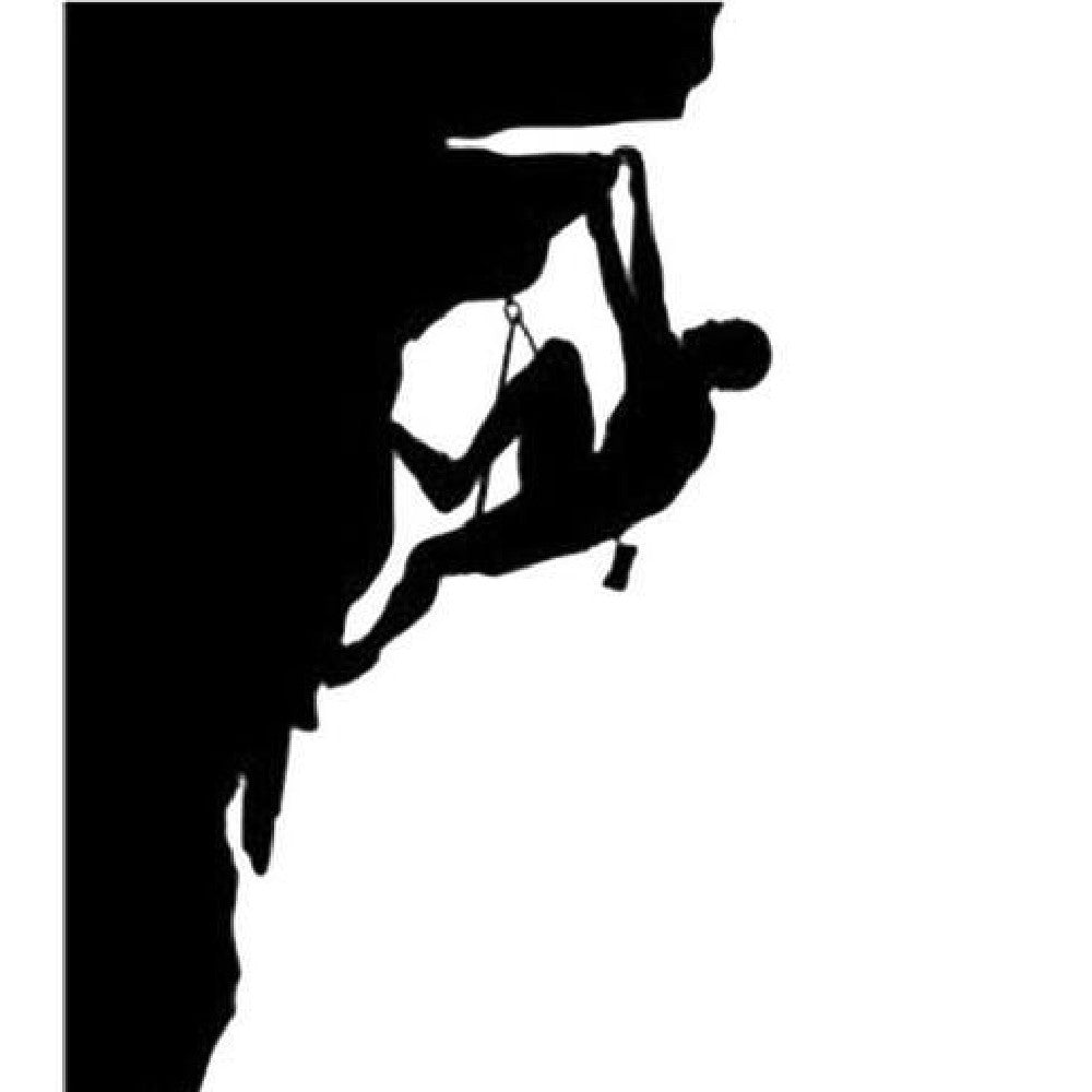 Escalade Autocollants De Pare-Chocs Fenêtre Verre Animal