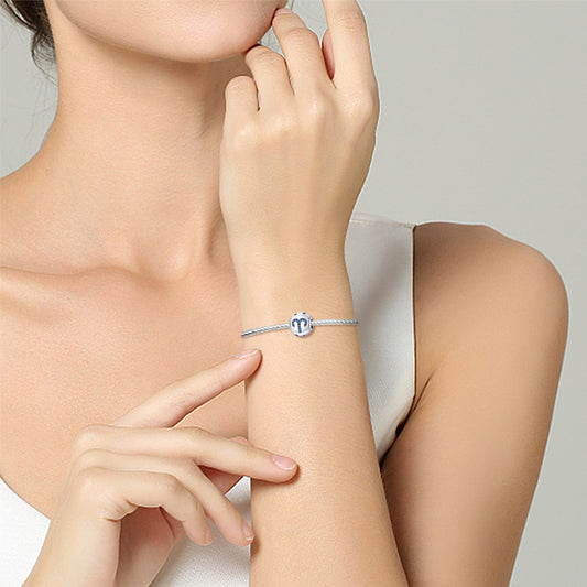 Nouveau Douze Constellation perles dispersées S925 en argent Sterling bricolage ornement correspondant Bracelet