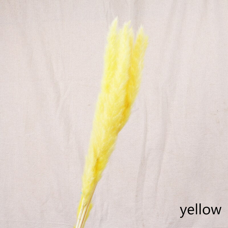 Décoration de maison de fleurs séchées en roseau