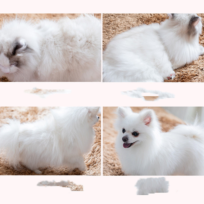 Suministros para perros con cepillo de peine Golden Retriever