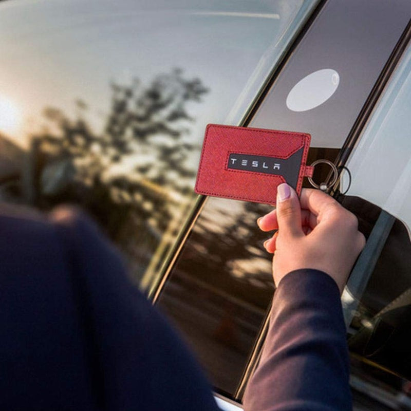 Special Tesla Key Case