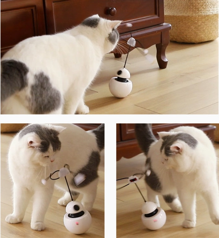 Jouet pour chat jouet drôle pour chat trois en un robot gobelet laser jouet pour chat
