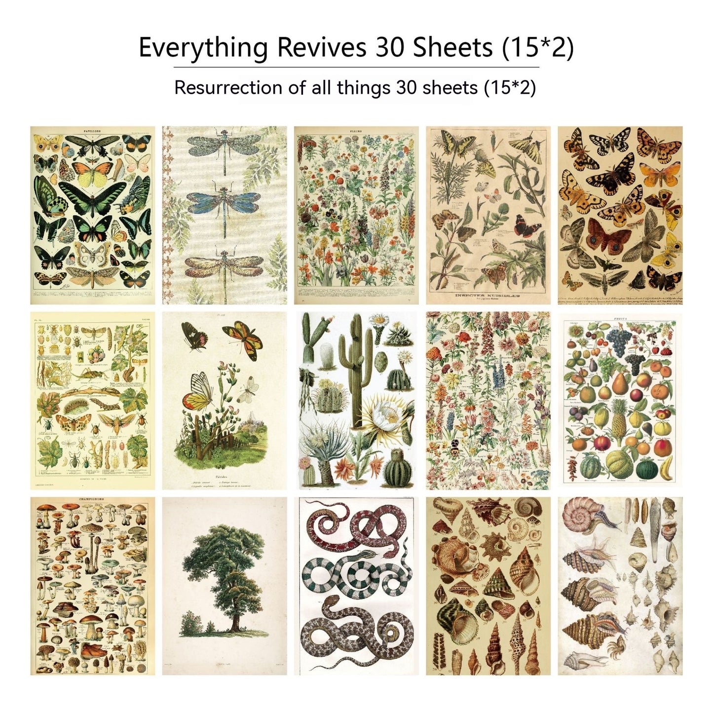 30 piezas de papel para decoración de periódicos y diarios