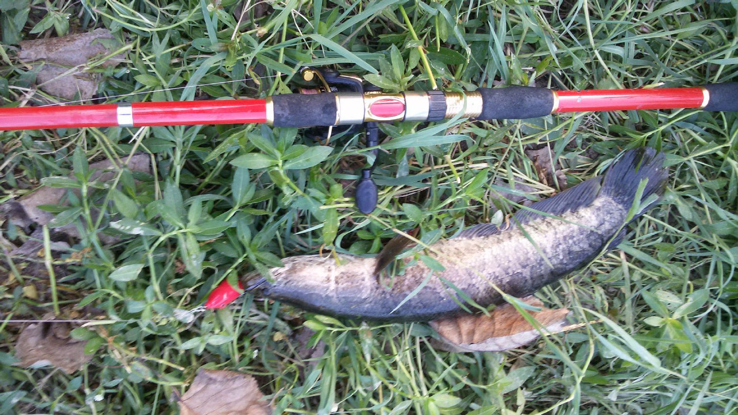 Establecer herramientas de pesca