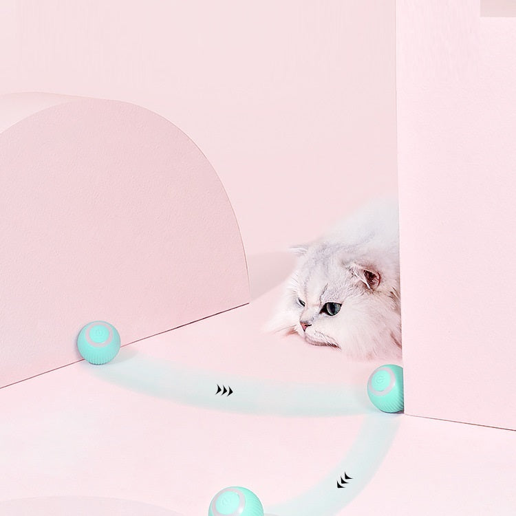 Bola rodante inteligente para aliviar el enfado del gato congestionado Self-Hi