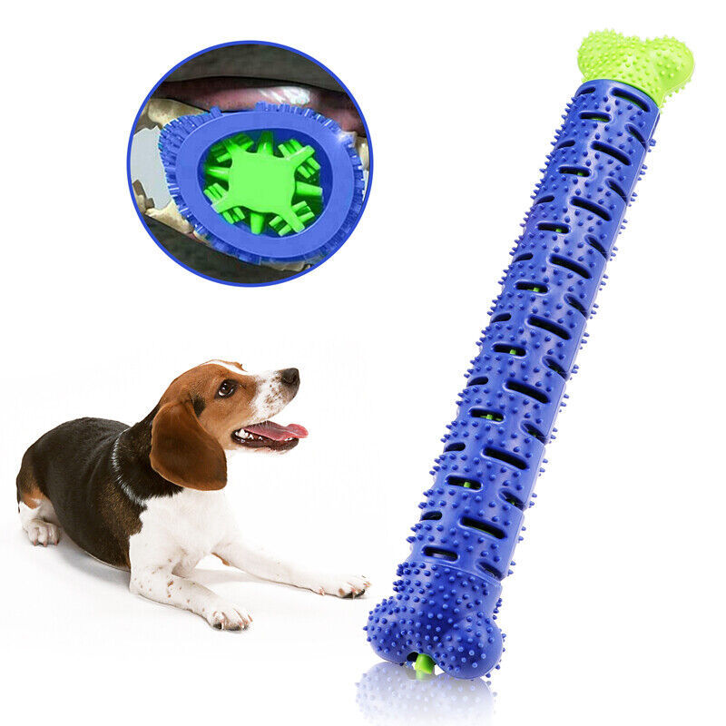 Jouets pour chiens brosse à dents TPR mâcher morsure nettoyage des dents molaire pour animaux de compagnie bâton de brossage chiens brosse à dents à mâcher morsure jouet à mâcher Durable