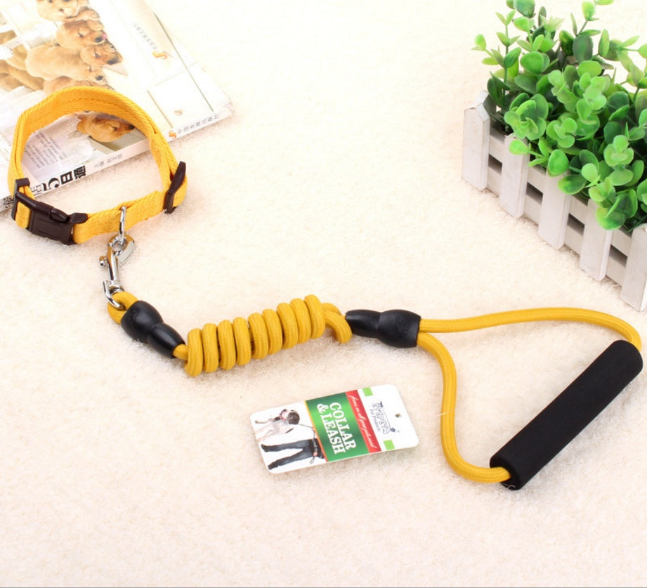 chaîne pour chien, collier pour chien, corde de harnais pour animaux de compagnie
