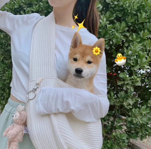 Sac en toile pour animaux de compagnie à bandoulière portable pour sortir