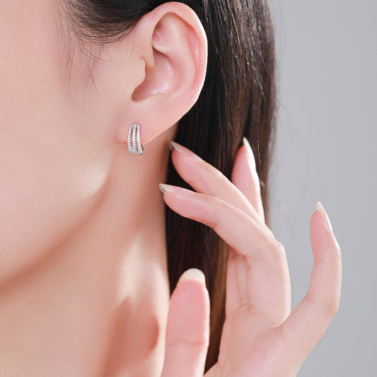 S925 Silver Frosty Style Earrings Female