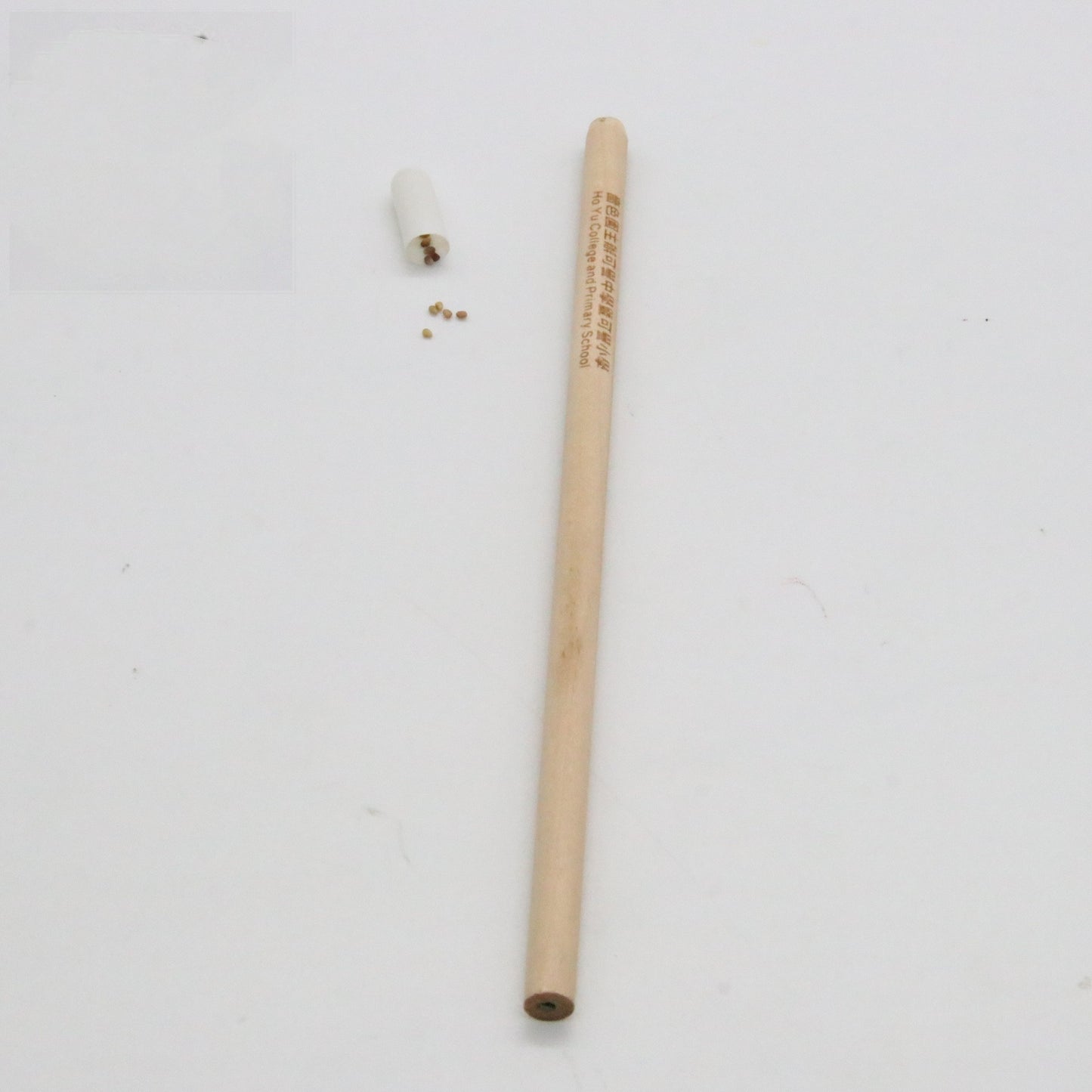 Lápiz de semillas Lápiz vegetal germinable Recambio HB Cápsulas degradables