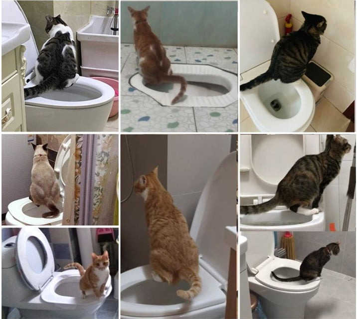 Entraîneur de toilettes pour chats, fournitures pour animaux de compagnie