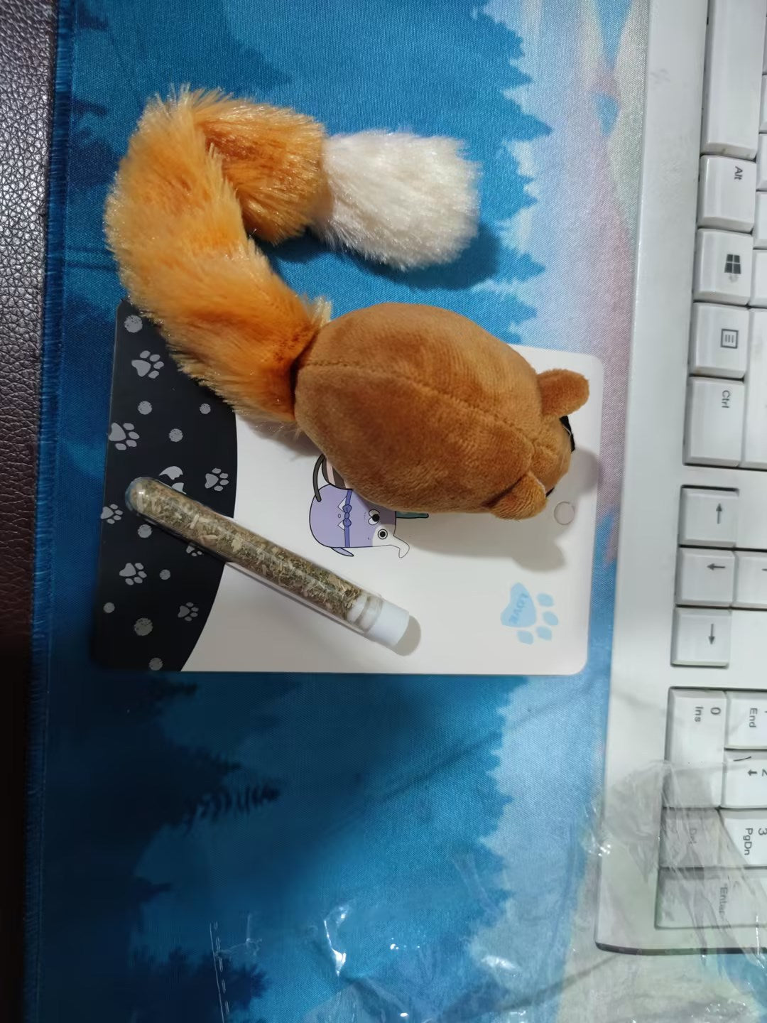 Fournitures pour chats, jouets pour chats
