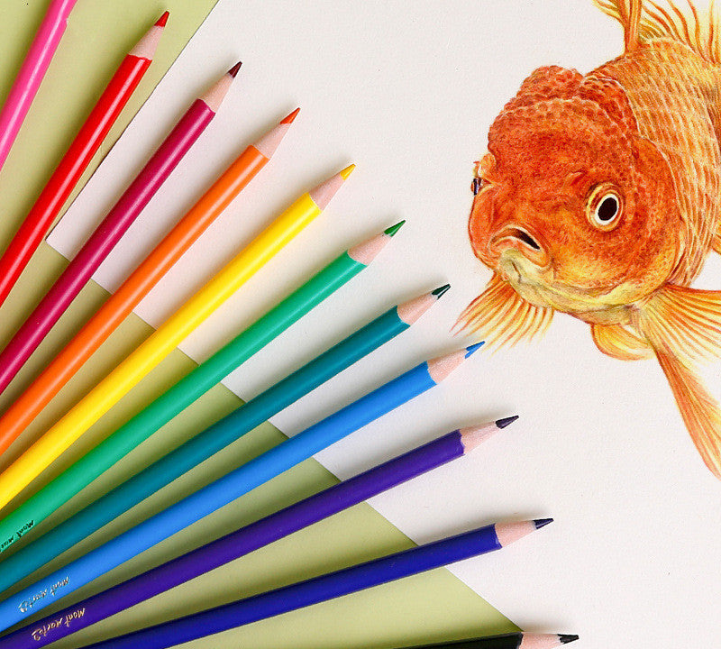 Organización de formación de juego de cables de colores creativos de 24 colores