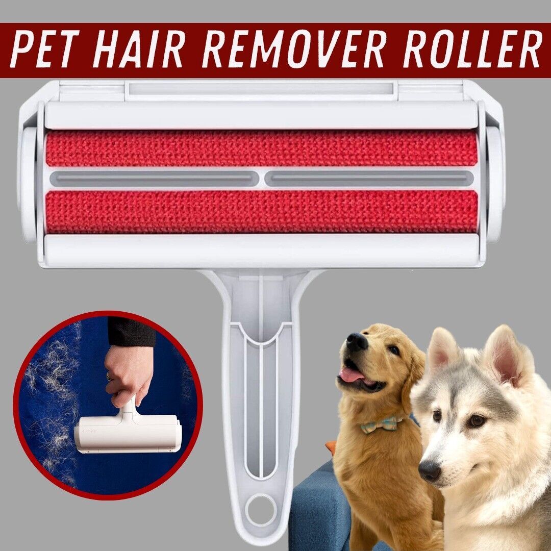 Chien chat animal de compagnie réutilisable anti-peluches rouleau de fourrure canapé vêtements brosse de nettoyage