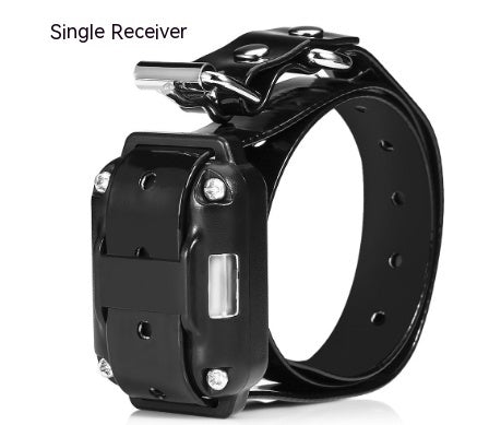 Collier de chien de dispositif de dressage de chien télécommandé