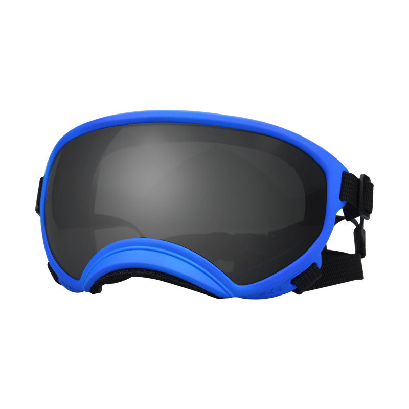 Lunettes de protection contre le vent pour chien Ski Pet