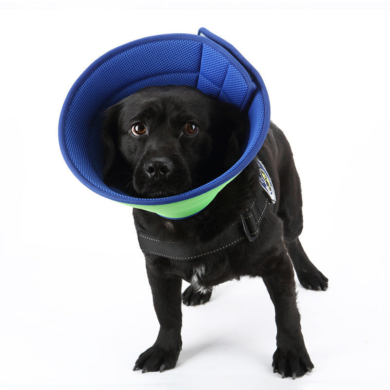 Collar antimordida para perros y gatos, collares de recuperación médica para mascotas, cubierta de protección transparente para mascotas, Collar isabelino circular para suministros para mascotas