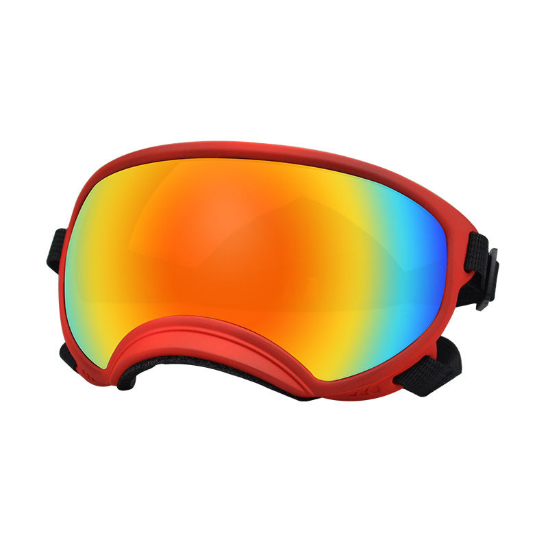 Lunettes de protection contre le vent pour chien Ski Pet