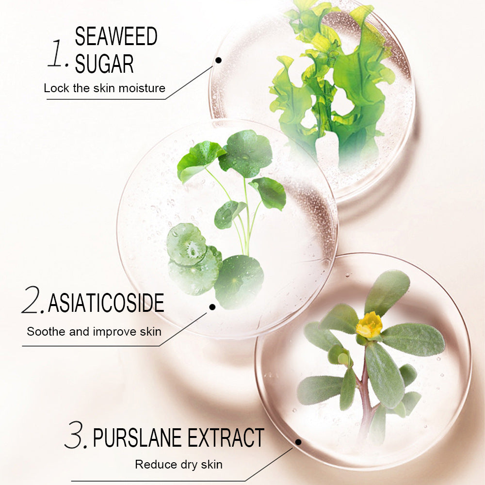 Masque de riz pour la peau, produits de soins de la peau