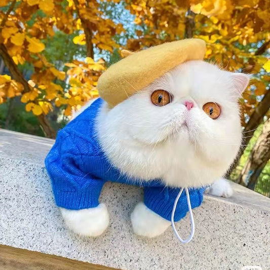 Produits respirants pour animaux de compagnie printemps-été multicolores