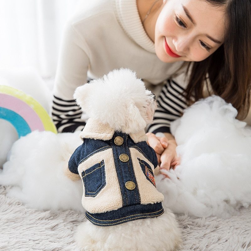 Ropa gruesa y abrigada para mascotas.