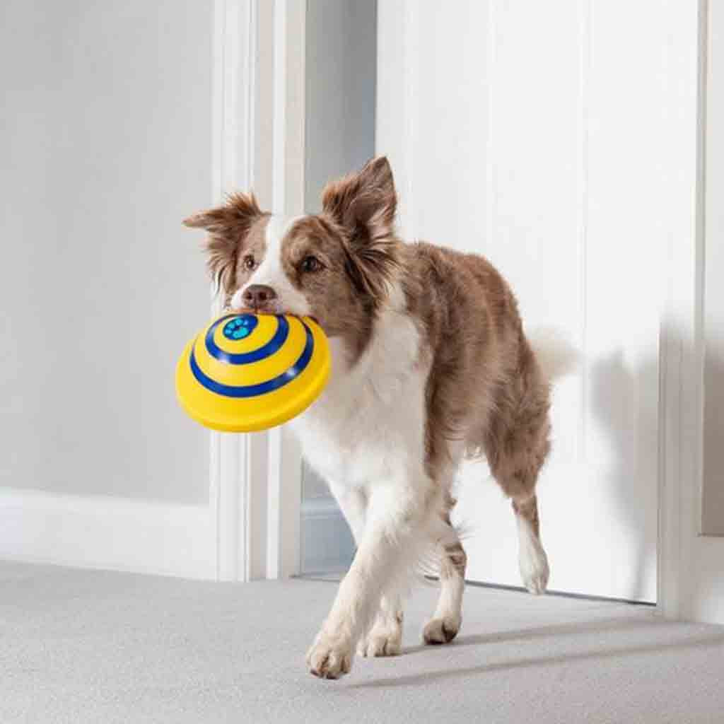 Disque sonore Woof planeur doux et sûr pour animaux de compagnie d'intérieur, jouet de jeu pour animaux de compagnie, jouets de divertissement à interaction unique