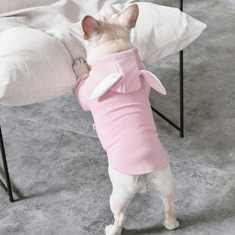 Vêtements pour animaux de compagnie pour chiens, vêtements de printemps et d'automne