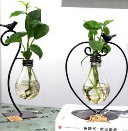 Pot de jardinière en verre pour plantes vertes d'intérieur, récipient pour plantes hydroponiques avec support en acier