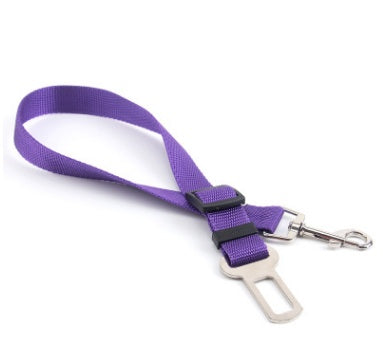 Sangle fixe en polyester pour chien, laisse pour chien, laisse pour chien