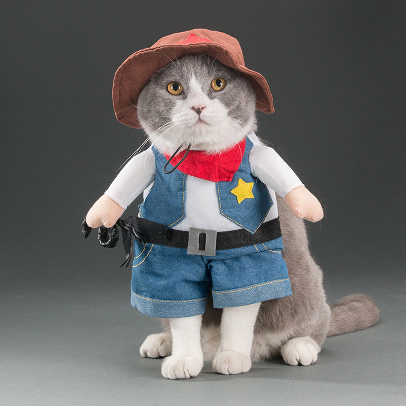 Disfraz de gato mascota primavera y otoño.