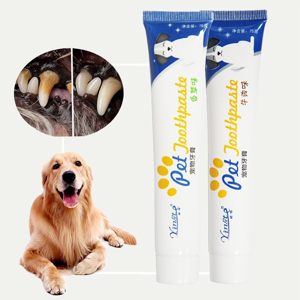 Dentifrice pour chien