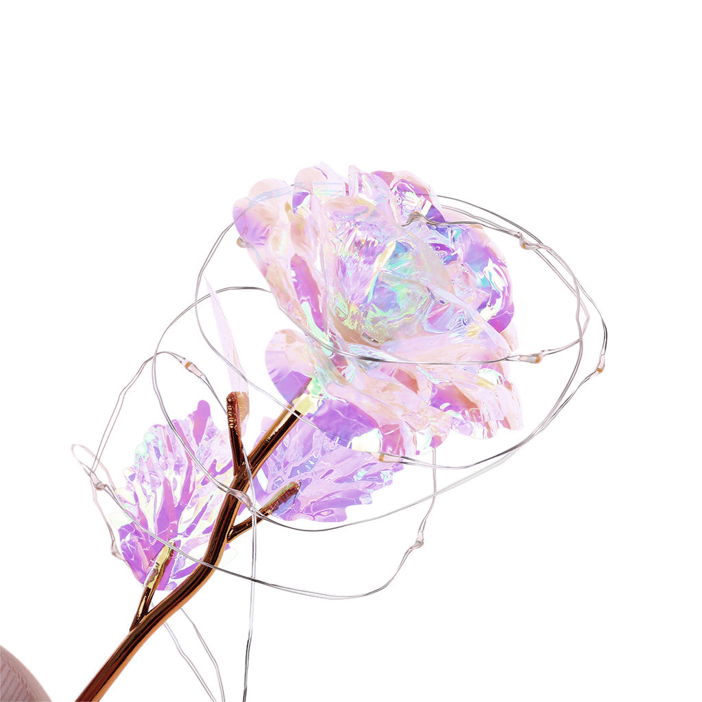 Fleur de rose éternelle enchantée dans une décoration de Noël lumineuse à LED en verre