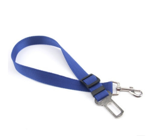 Sangle fixe en polyester pour chien, laisse pour chien, laisse pour chien