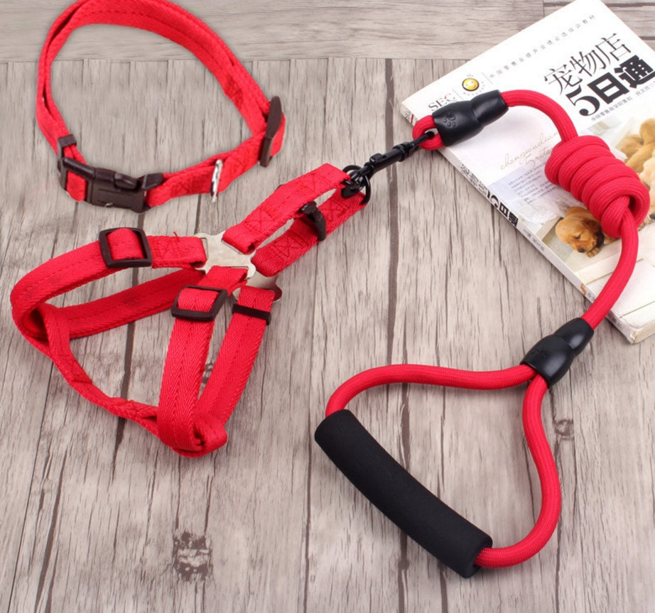 chaîne pour chien, collier pour chien, corde de harnais pour animaux de compagnie