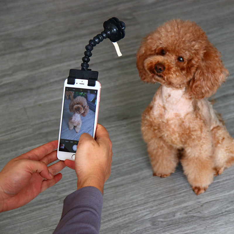 Bâton de selfie pour animaux de compagnie, fournitures pour animaux de compagnie, jouets, artefact de selfie pour animaux de compagnie