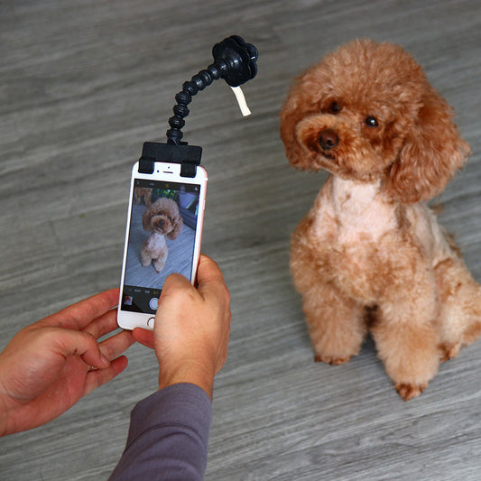 Bâton de selfie pour animaux de compagnie, fournitures pour animaux de compagnie, jouets, artefact de selfie pour animaux de compagnie