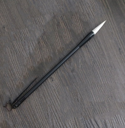 Brosse à cheveux Student Wolf, débutant et brosse à cheveux