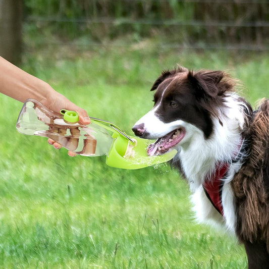 Distributeur d'eau Portable pour animaux de compagnie, mangeoire anti-fuite avec tasse à boire, bol à vaisselle, bouteille d'eau pour chien