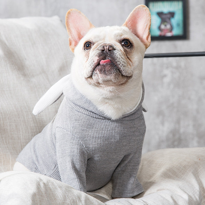 Vêtements pour animaux de compagnie pour chiens, vêtements de printemps et d'automne