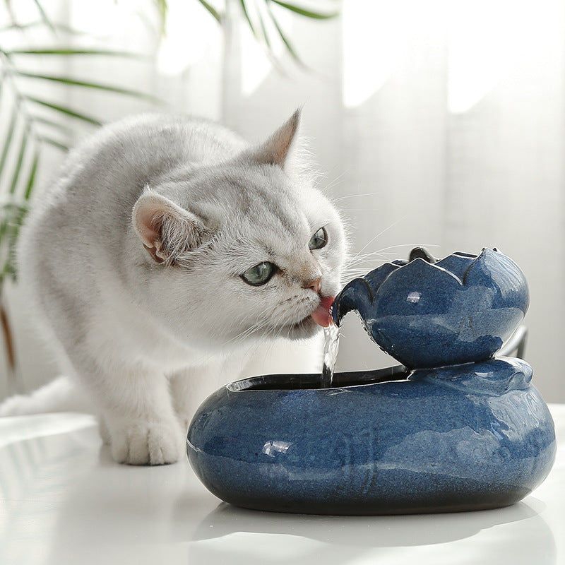 Mangeoire à eau pour chat 