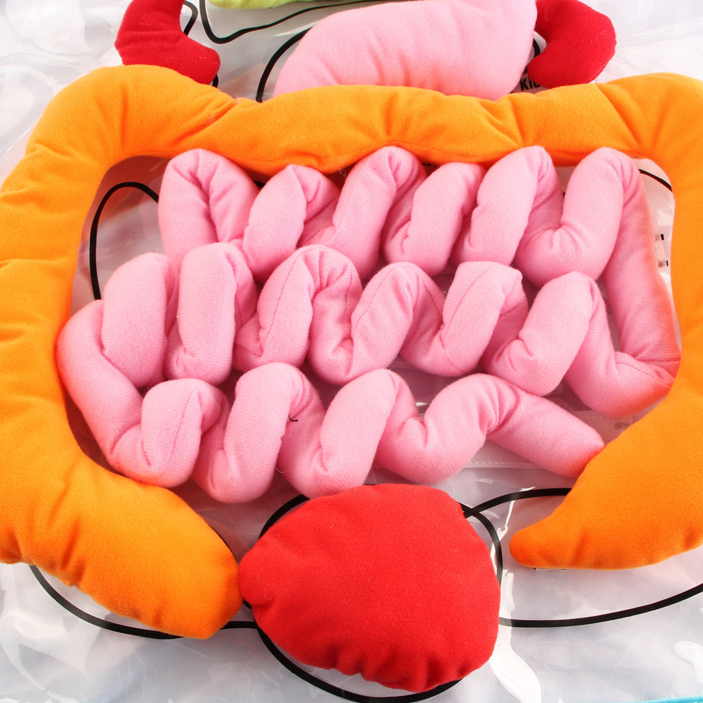 Juguete del delantal del cuerpo de los niños