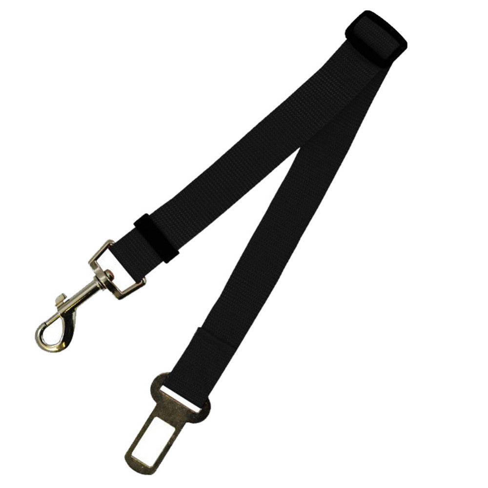 Sangle fixe en polyester pour chien, laisse pour chien, laisse pour chien