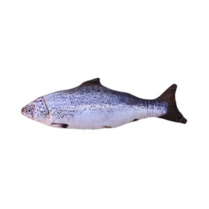 Version sans pince à chat - Jouet de poisson électrique de simulation de poisson sauteur électrique