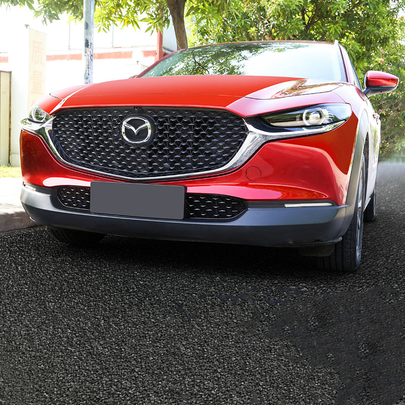 Car modification front net